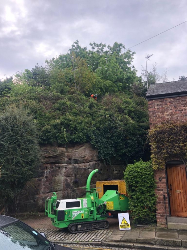 rock face stabilisation (15)