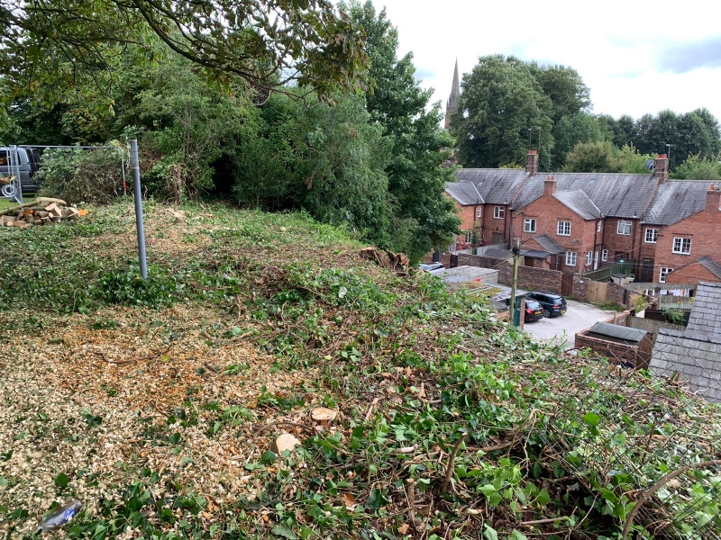 rock face stabilisation (18)