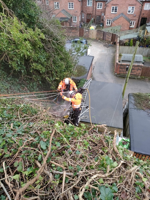 rock face stabilisation (3)